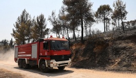 Lamia yakınlarında Cuma günü yangın çıktı
