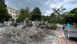 Selanik'te fırtınalı hava: Ağaçlar yerinden söküldü, sel meydana geldi